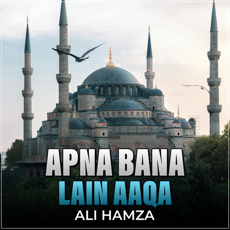 Apna Bana Lain Aaqa | Boomplay Music