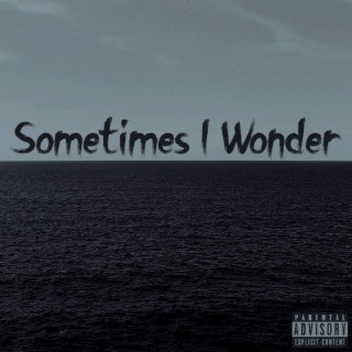 Sometimes I Wonder lyrics | Boomplay Music
