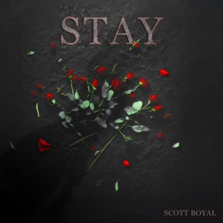 Stay lyrics | Boomplay Music