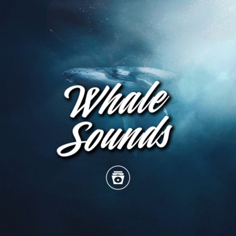 Whirpool | Boomplay Music