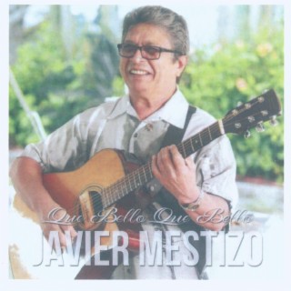 Javier Mestizo