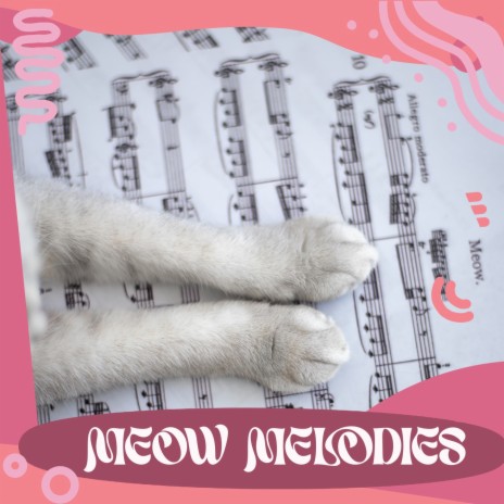 meow melodies | Boomplay Music