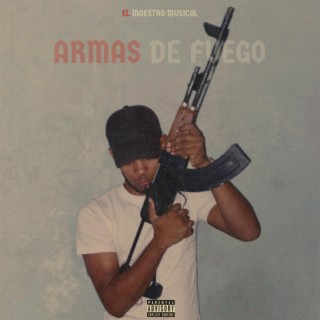 Armas De Fuego