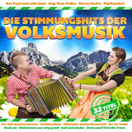 Dem Land Tirol die Treue | Boomplay Music