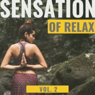 Sensation of Relax, Vol.2