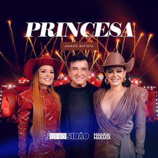 Princesa (Ao Vivo em Goiânia) ft. Amado Batista lyrics | Boomplay Music