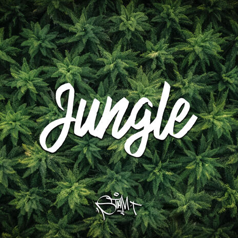 Jungle | Boomplay Music