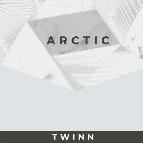 Arctic | Boomplay Music