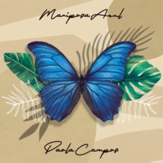 Mariposa Azul lyrics | Boomplay Music