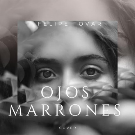 Ojos Marrones | Boomplay Music