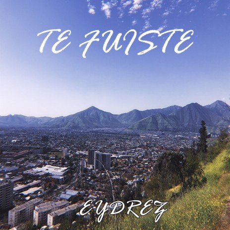 Te Fuiste | Boomplay Music