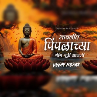 Savalit Pimpalachya Bhim Murti Sajali (Remix)