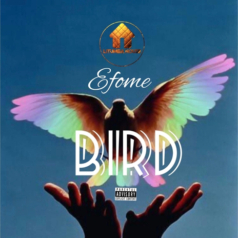 Bird | Boomplay Music