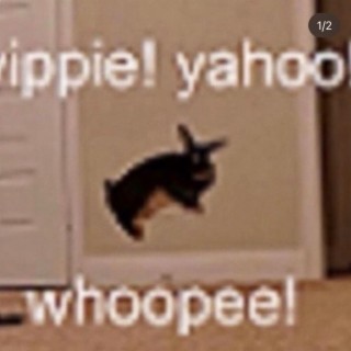 yippie! yahoo! whoopee!
