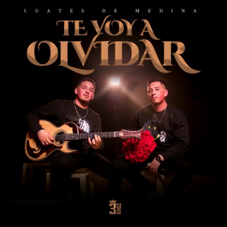 TE VOY A OLVIDAR | Boomplay Music