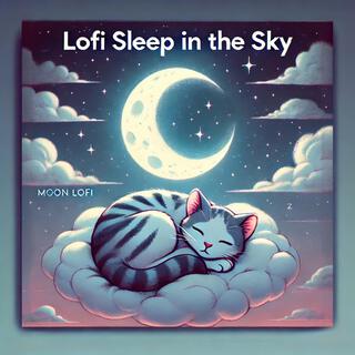 LoFi Sleep in the sky