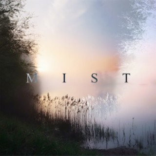 Mist