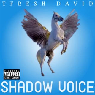 SHADOW VOICE