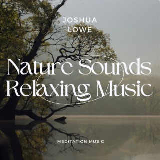 Nature Sounds Relaxing Music - Meditation Music