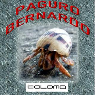 Paguro Bernardo