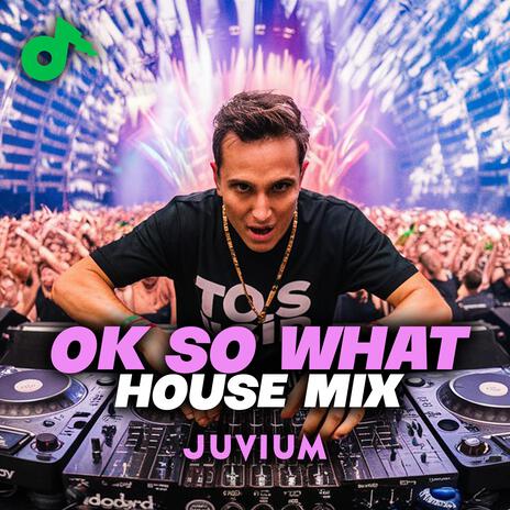 Ok So What (House Mix) | Boomplay Music