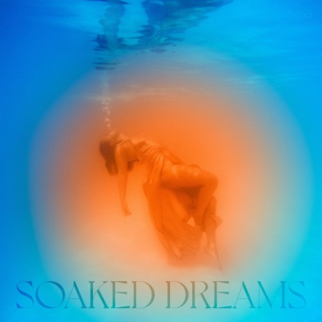 soaked dreams | Boomplay Music