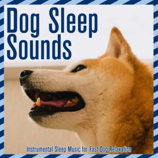 Dog Sleep Sounds: Instrumental Sleep Music for Fast Dog Relaxation