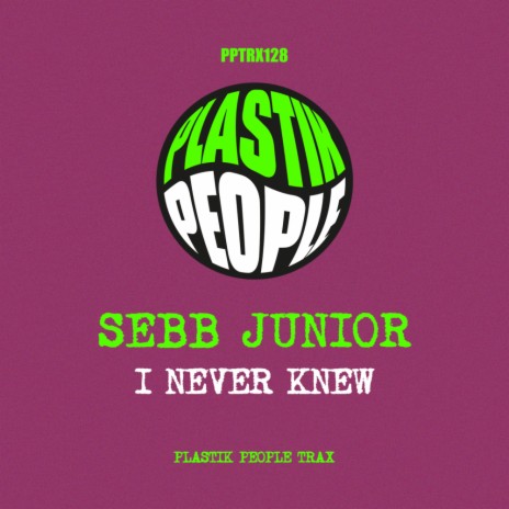 I Never Knew (Original Vocal Mix)