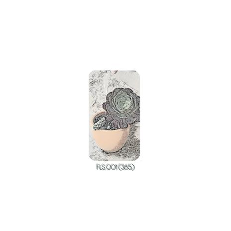 FLS.001 (365) | Boomplay Music