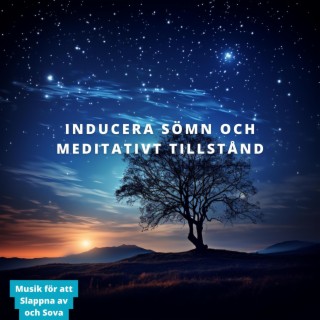 Inducera Sömn och Meditativt Tillstånd