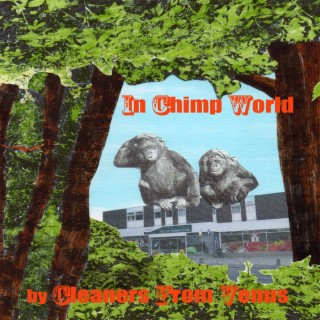In Chimp World