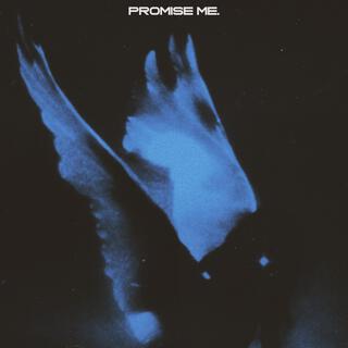 PROMISE ME. lyrics | Boomplay Music