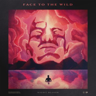 Face to the Wild