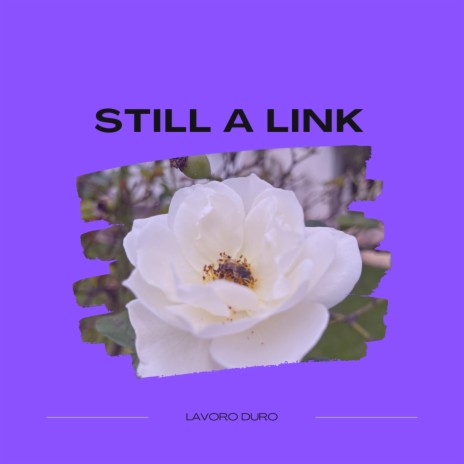 Still A Link | Boomplay Music