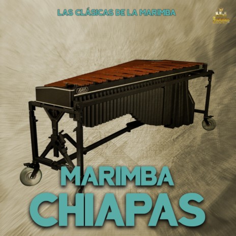 Danza Hungara No. 5 ft. Marimba Chiapas | Boomplay Music