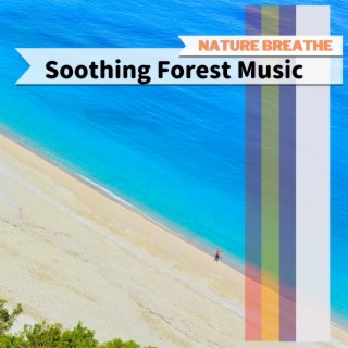 Soothing Forest Music