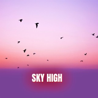 Sky High