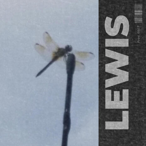 LEWIS | Boomplay Music