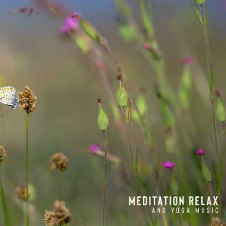 Holistic Meditation | Boomplay Music