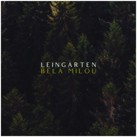 Leingarten | Boomplay Music