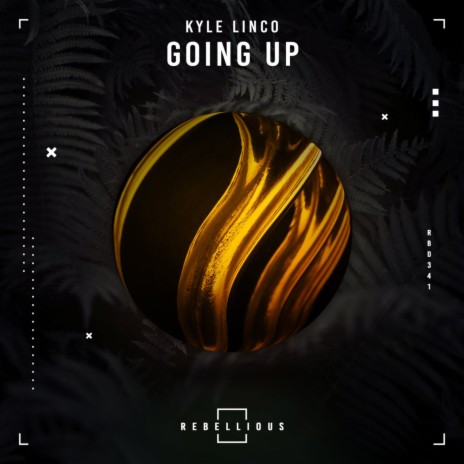 Going Up | Boomplay Music