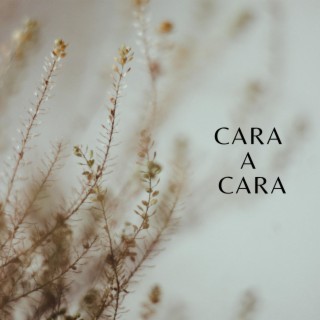 Cara a cara