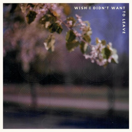 Wish I Didn't Want to Leave | Boomplay Music