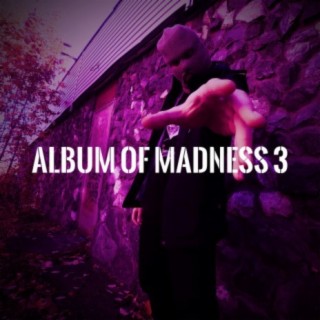 Album of Madness 3