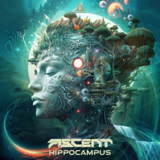 Hippocampus