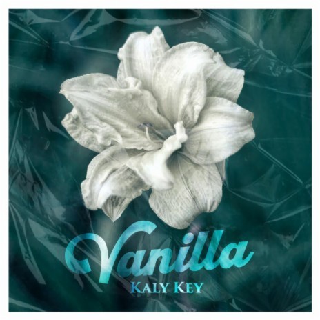 Vanilla | Boomplay Music