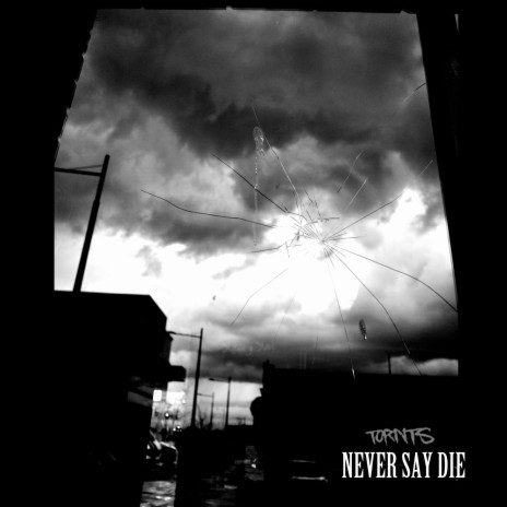 Never Say Die | Boomplay Music