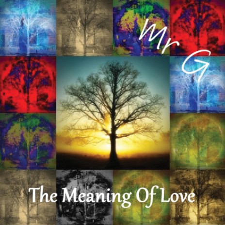 The Meaning of Love ft. Mr. G | Boomplay Music