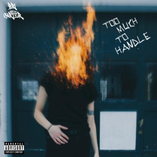 too much to handle lyrics | Boomplay Music