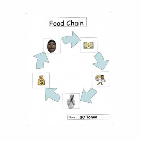 Food chain